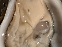 -Oyster Talks 四度蚝法餐厅