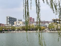 -文瀛公园