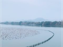 -杭州西湖风景名胜区-钱塘苏小小之墓