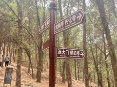 -云龙湖旅游景区