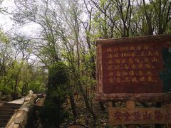 -金龙寺国家森林公园