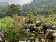 -广州市石门国家森林公园
