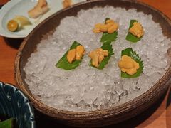 -月龍吟(朝龙汇店)