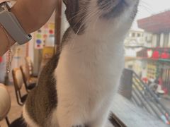 -LOOKA COFFEE(大鹏所城店)