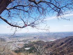 -香山公园
