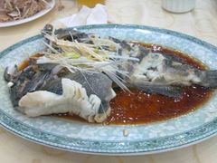 野生黑鱼-海岛渔村大酒店(云霄路店)