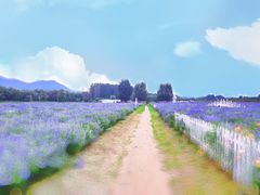 -北京东方普罗旺斯薰衣草庄园