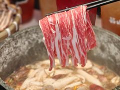 -芸山季·云南山珍菌火锅(人民广场来福士店)