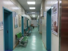 -北京观赏动物医院·24小时大型综合·猫专科·异宠专科