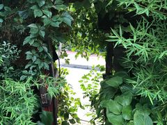 -斯多格书乡(北京大学畅春园店)