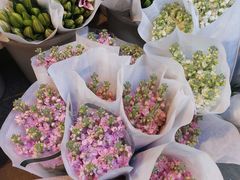 -循礼门鲜花花市(武汉循礼门店)