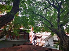 -大佛古寺