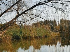 -南湖湿地公园