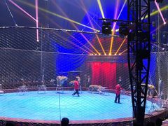 -水秀国际大剧院