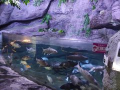 -郑州海洋馆