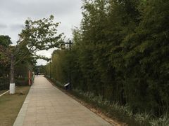 -神光山国家森林公园