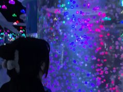 -重庆欢乐海底世界