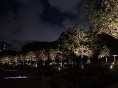 -新江湾城公园