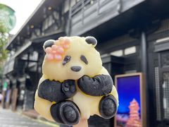 网红花花冰淇淋-成都映象川菜馆(宽窄巷子景区店)