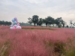 -汉长安城未央宫国家考古遗址公园