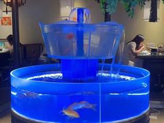 -佬麻雀·剁椒鱼头(京基KK One店)