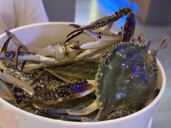 -苏大嘴蒸汽海鲜·海胆蒸饺(中山广场店)