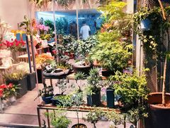 -溪岸路花鸟市场
