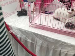 -万达广场(大明宫店)