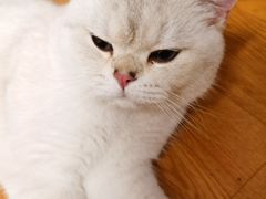 -五条人糖水铺(武林总店)