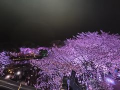 -天福苑(崇宁路店)