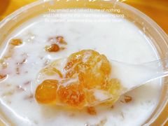 -老周记顺德双皮奶