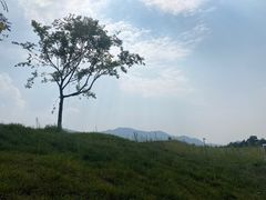 -秦始皇帝陵博物院-丽山园