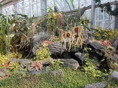 -国家植物园南园