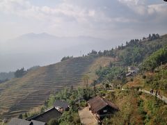 -紫鹊界梯田景区