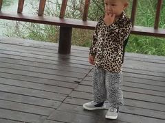 -焦岗湖旅游度假区