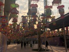 -锦江乐园舞狸花花游园会(夜场专享)