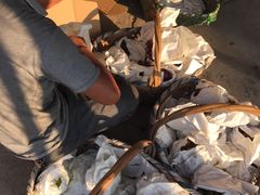 -马陆小张葡萄园农家乐