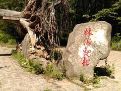 -五营红松林海景区