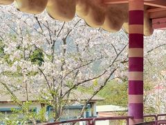 -无锡动物园·太湖欢乐园