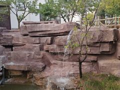 -白佛山景区