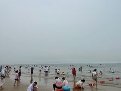 -日照海滨国家森林公园