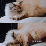Snug cafe 色色意意的小馆子