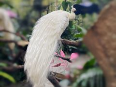 -广州长隆野生动物世界