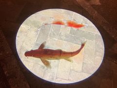 -鼎盛蜀坊·重庆江湖菜(市桥地铁站店)