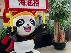 -海底捞火锅(龙岗星河COCO Park店)