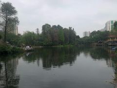 -晓港公园