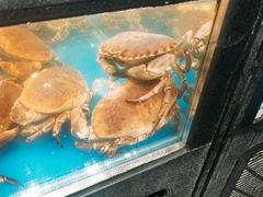 -盒马鲜生(曜一城店)