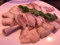 -千岛蚝高压锅生蚝·人参火锅(白云万达店)