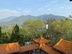 -深圳仙湖植物园