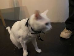 -Doors独立剧情密室(东门分店)